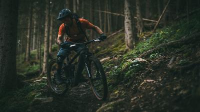 Trek Rail+ 9.7 EU L Navy Smoke Produktbild 5