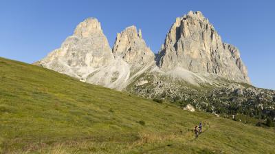 Trek Powerfly+ 6 EU L 29 Lunar Silver/Mercury Produktbild 5