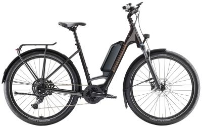 Diamant Zing Trip Core LS M Samtschwarz Metallic 725Wh Produktbild 6