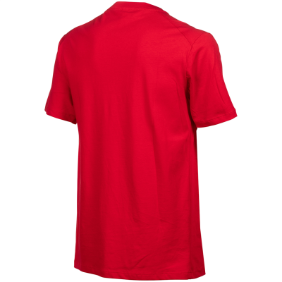 Arena Team T-Shirt Panel L red Unisex Produktbild 2
