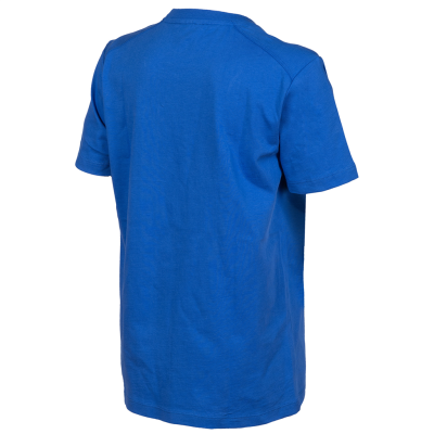 Arena Jr Team T-Shirt Panel 152 royal Unisex Produktbild 1