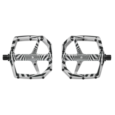 Look TRAIL ROC PLUS Thomas Genon one size silver Produktbild 1