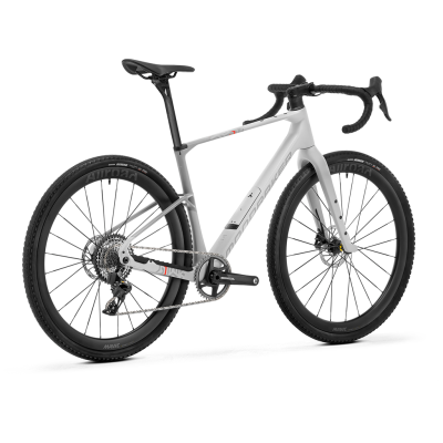 Mondraker ARID CARBON RR M grey / carbon / red Produktbild 2
