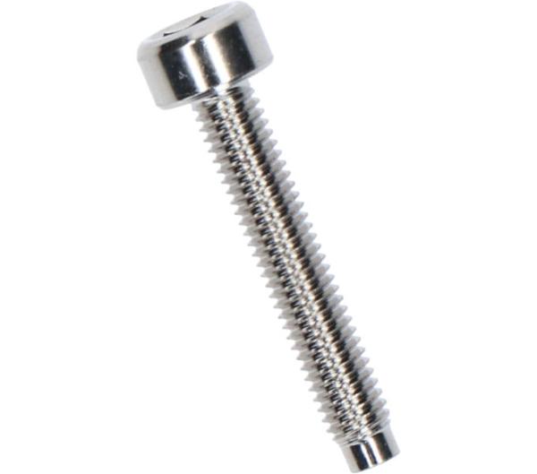 SHIMANO FD-TY600 Schraube f&uuml;r Klammer (M5 x 29)