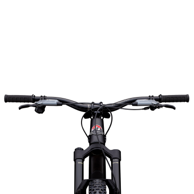Rocky Mountain Altitude Carbon 70 (29) XL black/carbon Produktbild 3