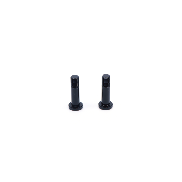 Rocky Mountain DROPOUT PIVOT BOLT KIT one size