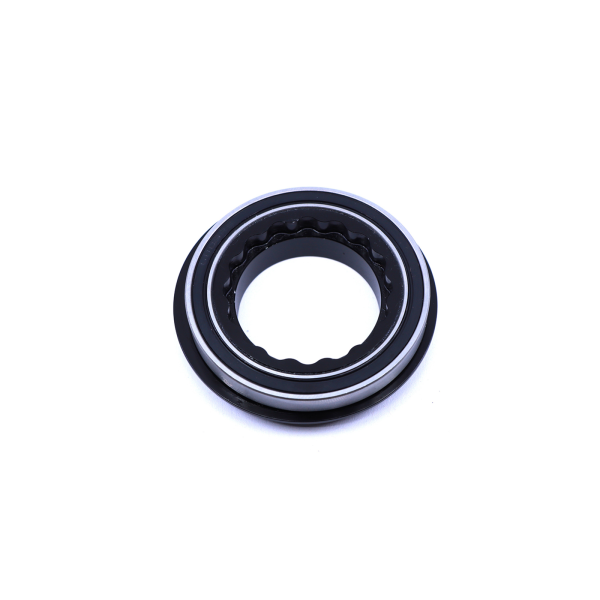 Rocky Mountain Powerplay SL BEARING/PAWL LOCATOR one size