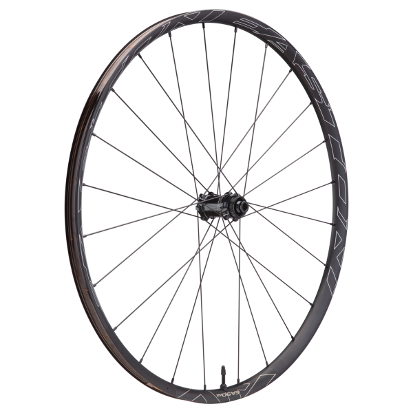 Easton EA90 AX Road Gravel CLN Disc Wheel 700C/'12X100 matte black/anodize